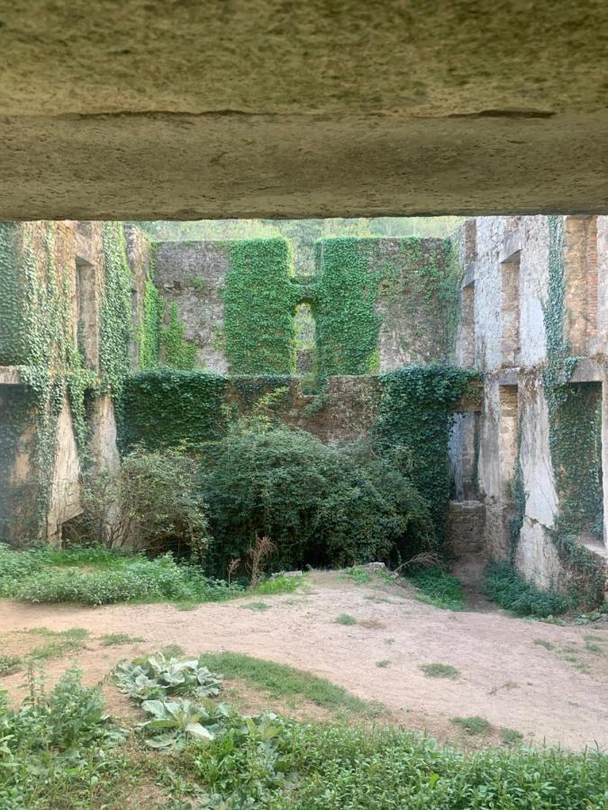La Cabane De Piquet Le Tablier المظهر الخارجي الصورة